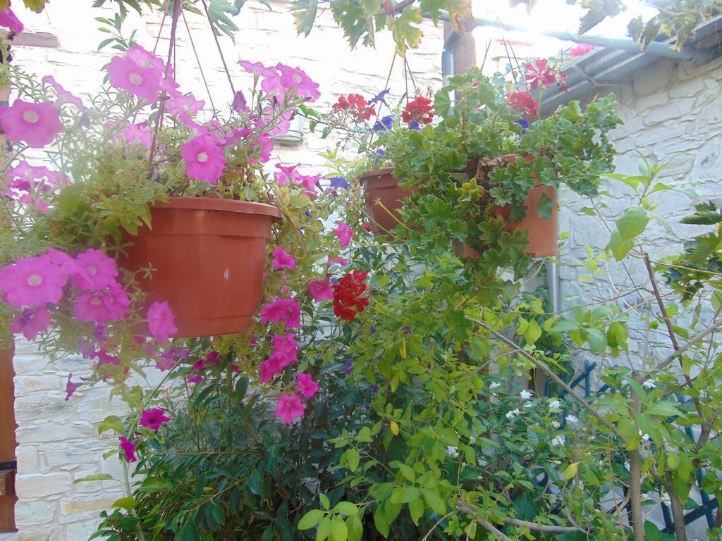 Charalambos Holiday Cottage Kalavasos Exterior foto