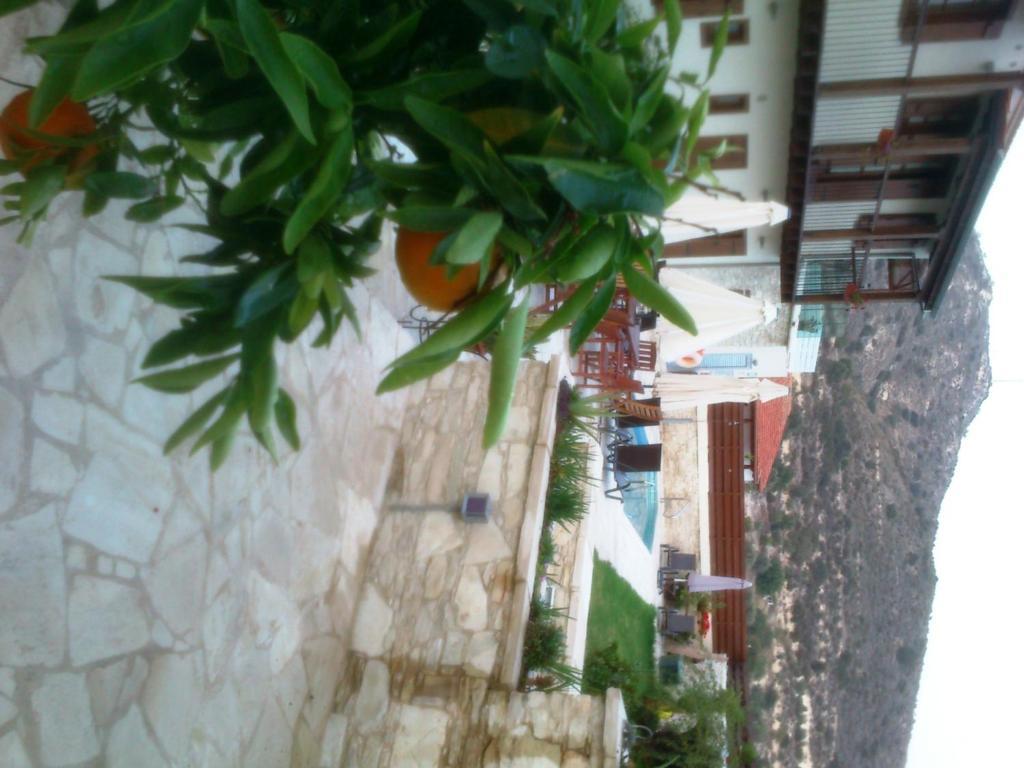Charalambos Holiday Cottage Kalavasos Exterior foto